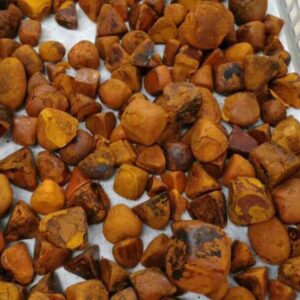 Ox Cow Gallstones