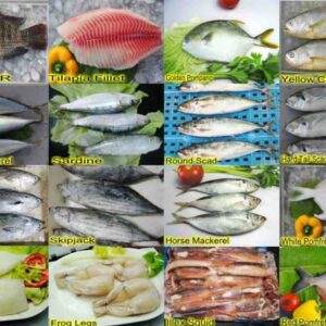 Fresh Frozen Fish For Sale