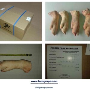 Frozen Pork Meat Suppliers